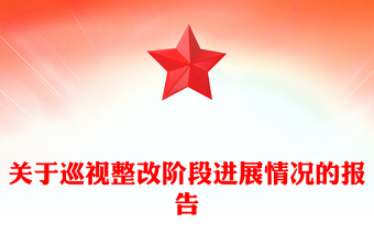 關于巡視整改階段進展情況的報告