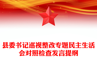 縣委書記巡視整改專題民主生活會對照檢查發(fā)言提綱