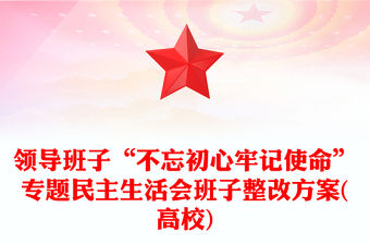 領導班子“不忘初心牢記使命”專題民主生活會班子整改方案(高校)