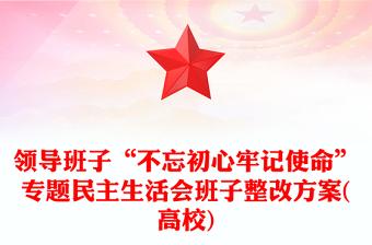 領(lǐng)導(dǎo)班子“不忘初心牢記使命”專題民主生活會(huì)班子整改方案(高校)