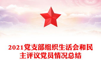 2021黨支部組織生活會和民主評議黨員情況總結