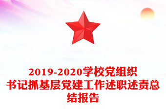 2019-2020學(xué)校黨組織書記抓基層黨建工作述職述責(zé)總結(jié)報(bào)告