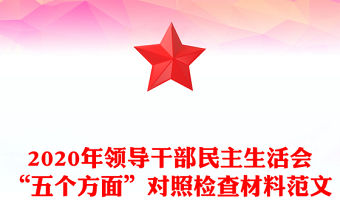2020年領導干部民主生活會“五個方面”對照檢查材料范文