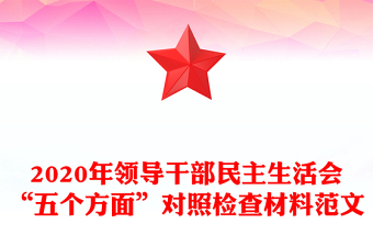 2020年領(lǐng)導(dǎo)干部民主生活會(huì)“五個(gè)方面”對(duì)照檢查材料范文