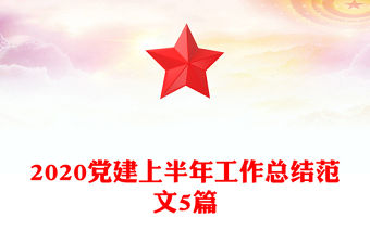 2020黨建上半年工作總結范文5篇