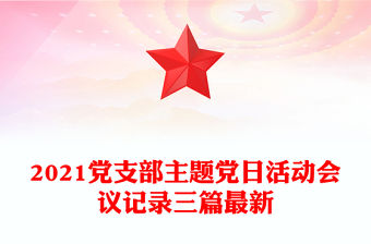 2021黨支部主題黨日活動會議記錄三篇最新