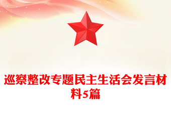 巡察整改專題民主生活會(huì)發(fā)言材料5篇
