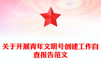 關于開展青年文明號創建工作自查報告范文