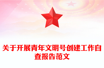 關于開展青年文明號創(chuàng)建工作自查報告范文