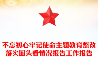 不忘初心牢記使命主題教育整改落實回頭看情況報告工作報告