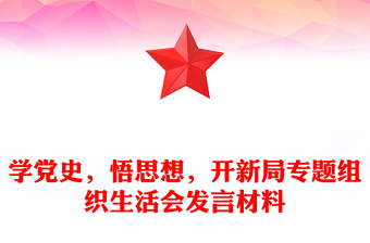 學(xué)黨史，悟思想，開新局專題組織生活會發(fā)言材料