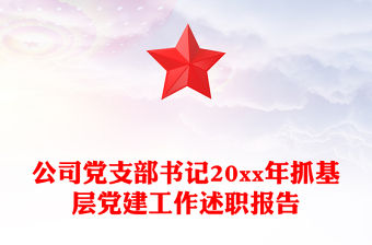 公司黨支部書記20xx年抓基層黨建工作述職報告