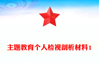 主題教育個(gè)人檢視剖析材料1
