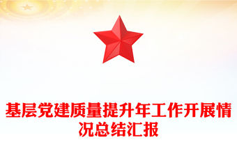 基層黨建質(zhì)量提升年工作開展情況總結(jié)匯報(bào)