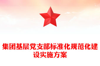 集團基層黨支部標準化規范化建設實施方案