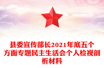 縣委宣傳部長2021年底五個方面專題民主生活會個人檢視剖析材料