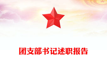 團支部書記述職報告