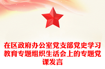 在區(qū)政府辦公室黨支部黨史學(xué)習(xí)教育專題組織生活會上的專題黨課發(fā)言