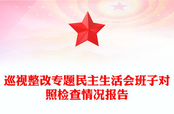 巡視整改專題民主生活會班子對照檢查情況報告