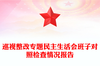 巡視整改專題民主生活會(huì)班子對(duì)照檢查情況報(bào)告