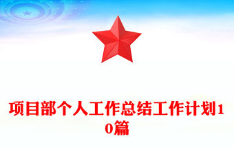 項目部個人工作總結工作計劃10篇