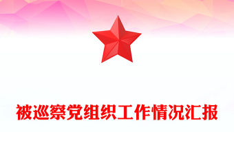 被巡察黨組織工作情況匯報