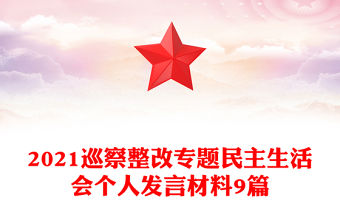 2021巡察整改專題民主生活會個人發言材料9篇