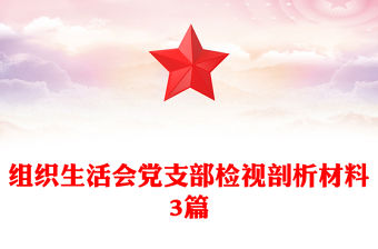 組織生活會黨支部檢視剖析材料3篇