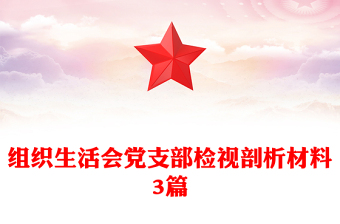 組織生活會(huì)黨支部檢視剖析材料3篇