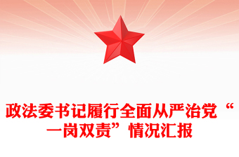 政法委書記履行全面從嚴(yán)治黨“一崗雙責(zé)”情況匯報(bào)