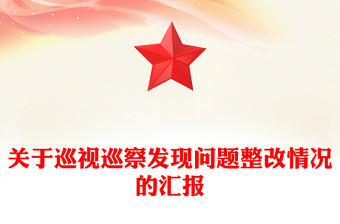 關(guān)于巡視巡察發(fā)現(xiàn)問題整改情況的匯報