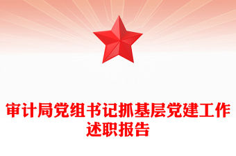 審計局黨組書記抓基層黨建工作述職報告