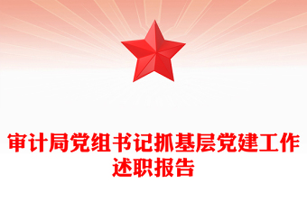 審計(jì)局黨組書記抓基層黨建工作述職報(bào)告