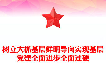 樹立大抓基層鮮明導向實現基層黨建全面進步全面過硬