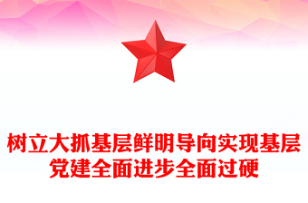 樹立大抓基層鮮明導向?qū)崿F(xiàn)基層黨建全面進步全面過硬