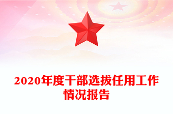 2020年度干部選拔任用工作情況報告