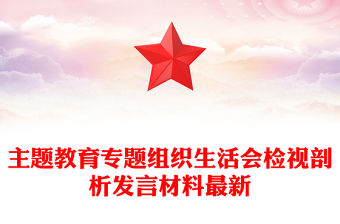 主題教育專題組織生活會(huì)檢視剖析發(fā)言材料最新