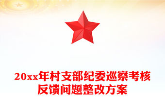 20xx年村支部紀委巡察考核反饋問題整改方案