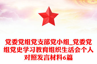 黨委黨組黨支部黨小組_黨委黨組黨史學習教育組織生活會個人對照發言材料6篇