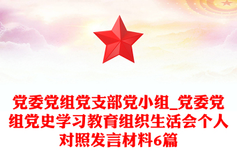 黨委黨組黨支部黨小組_黨委黨組黨史學(xué)習(xí)教育組織生活會(huì)個(gè)人對(duì)照發(fā)言材料6篇