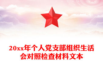 20xx年個人黨支部組織生活會對照檢查材料文本