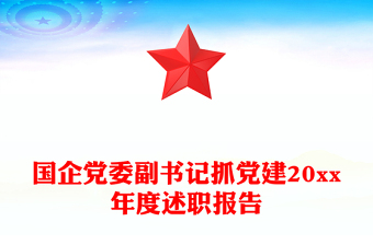 國(guó)企黨委副書(shū)記抓黨建20xx年度述職報(bào)告