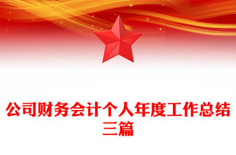 公司財務會計個人年度工作總結三篇