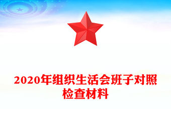 2020年組織生活會(huì)班子對(duì)照檢查材料