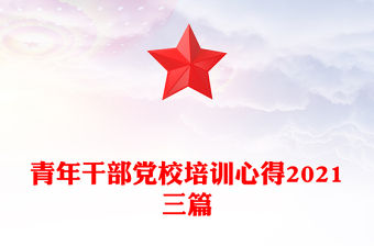 青年干部黨校培訓心得2021三篇