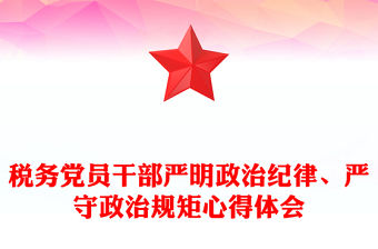 稅務(wù)黨員干部嚴(yán)明政治紀(jì)律、嚴(yán)守政治規(guī)矩心得體會