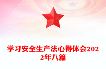 學(xué)習(xí)安全生產(chǎn)法心得體會(huì)2022年八篇