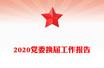 2020黨委換屆工作報告