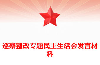 巡察整改專題民主生活會發言材料