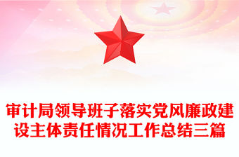 審計局領導班子落實黨風廉政建設主體責任情況工作總結三篇